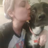 Rachel D.'s profile image