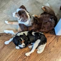 Mark And Susan K.'s profile image