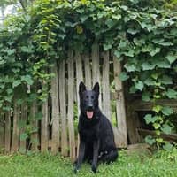 Rachel C.'s profile image
