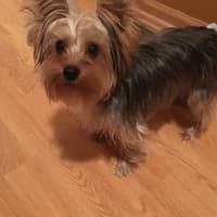 Lori E.'s profile image