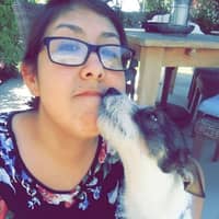 Ashley T.'s profile image