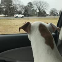 Pam H.'s profile image