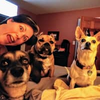 CRenee H.'s profile image