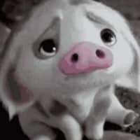 Janine G.'s profile image