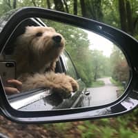 Nick P.'s profile image