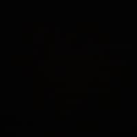 Hutch M.'s profile image