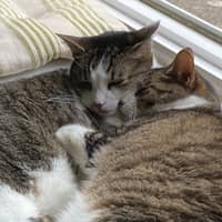 Malinda M.'s profile image