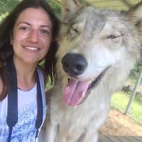 Rima D.'s profile image