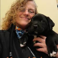 Teresa M.'s profile image