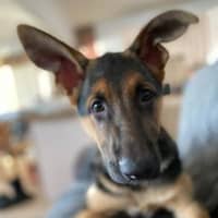 Jillian J.'s profile image