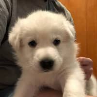 Mark P.'s profile image