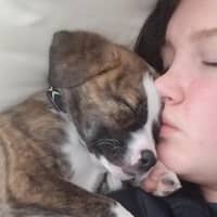 Alison D.'s profile image