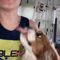 Anne H.'s profile image