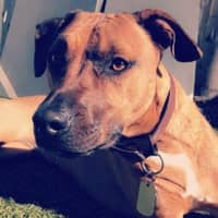 simone J.'s profile image