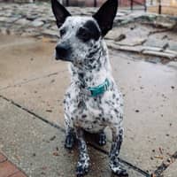 Nicole R.'s profile image