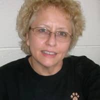 Judy J.'s profile image