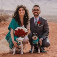 Theo P.'s profile image
