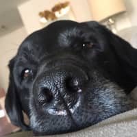 Laura R.'s profile image