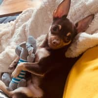 Tina M.'s profile image