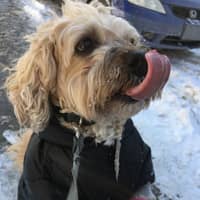 Lynn T.'s profile image