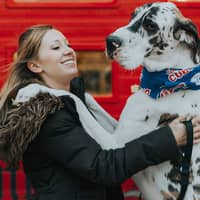 Stefanie L.'s profile image