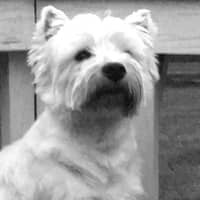 Jennifer R.'s profile image