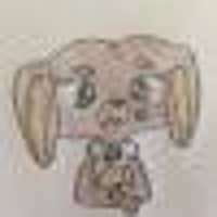 BobaDreamsicle L.'s profile image