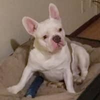Teresa W.'s profile image