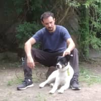 Facundo B.'s profile image