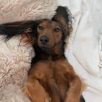 Sari P.'s profile image