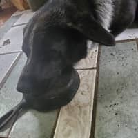 Yin W.'s profile image