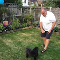 David F.'s profile image