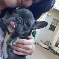kelli M.'s profile image