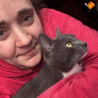 Jessica D.'s profile image