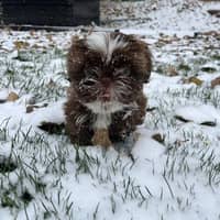 George G.'s profile image