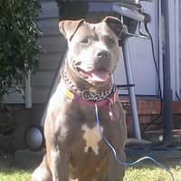 Ashley S.'s profile image