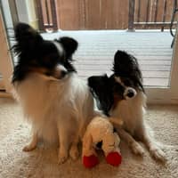 Sandra D.'s profile image