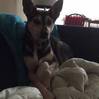 Kendra Z.'s profile image