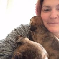 Shannon B.'s profile image
