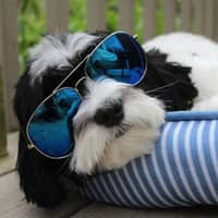 Danielle R.'s profile image