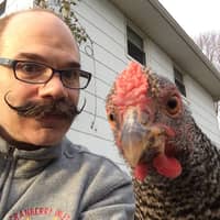 David S.'s profile image