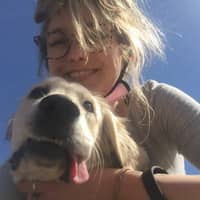 Perrie A.'s profile image