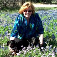 Romany N.'s profile image