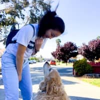 Alexis C.'s profile image