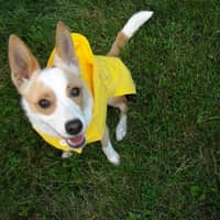 JoAnn H.'s profile image