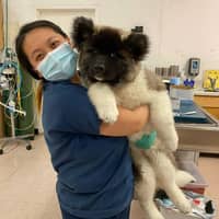 Stephanie L.'s profile image
