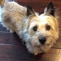 Debi L.'s profile image