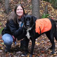 Stacy C.'s profile image