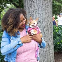 Cynthia M.'s profile image