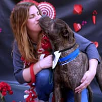 Tabitha L.'s profile image